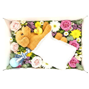 ybg  hCACXt y  hV[g hCACX10kg zc3_Zbg z S`M ^ L  14:00 o n i{[ Ђ V ʂ ̂܂܉Α 