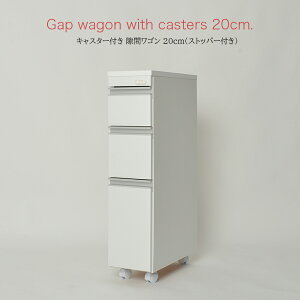  LX^[t  S 20cm F [ Ƌ RZgt