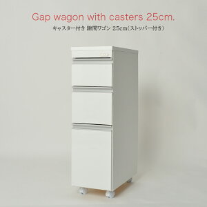  LX^[t  S 25cm F [ Ƌ RZgt