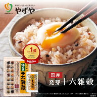 【 やずや 公式 】 やずや 国産 発芽十六雑穀 送料弊社負担 混ぜるだけ 食べやすい | 子供 個包装 もちも…