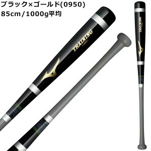 ~Ym Mizunoy[U[H ~Ym ؐdz싅 ؐ g[jOobg d  \tg ʗp lp Љl w ybc 1CJWT251