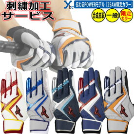 野球 ソフトボール 刺繍サービス 展示会限定商品 2025秋冬限定カラー 少年用 ミズノ バッティング手袋 ジュニア用 刺繍 バッティンググローブ WILLDRIVE RED ウィルドライブレッド バッティンググラブ 1EJEY563 両手用 ソフトボール 2025AW ybc