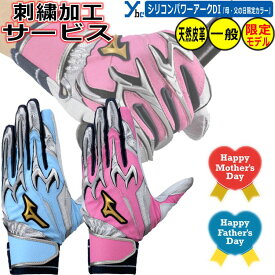 野球 ソフトボール 一般用 刺繍サービス 2025年 母の日・父の日限定カラー ミズノプロ MIZUNOPRO シリコンパワーアークDI 大人用 天然皮革 両手用 プレゼント シングルベルト バッティンググローブ 1EJEA550 2025モデル ybc