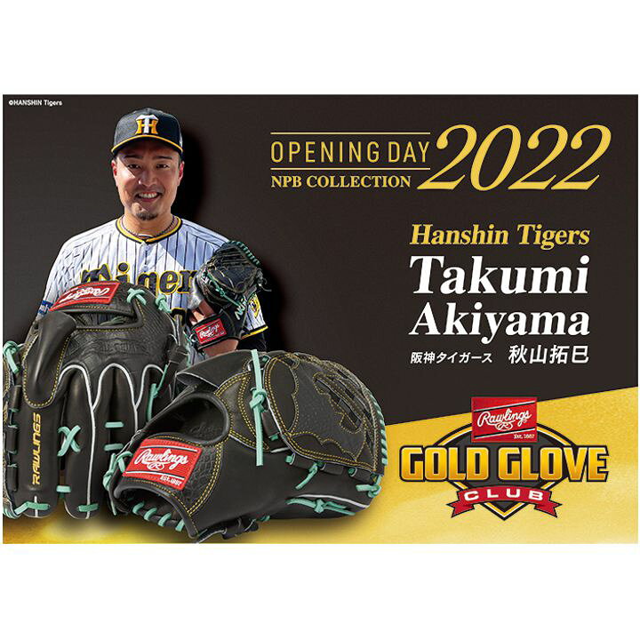 楽天市場】【ローリングス 軟式グローブ 投手用】 RGGC限定 野球  
