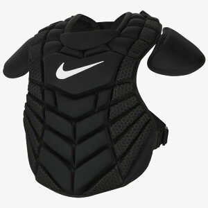 iCL NIKE dp Lb`[ veN^[ bOK[h ubN 17C` nike-catcher