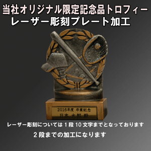野球記念品 オリジナル 限定 記念品 トロフィー 野球バージョン レーザー彫刻 プレート加工込み プレゼント