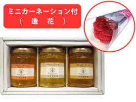 【母の日専用ギフト】(ミニカーネーション付き)国産はちみつギフトセット（アカシア、ミカン又はトチ、百花[各160g]）【楽天】
