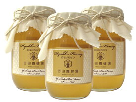 【送料無料】国産百花蜂蜜600g（香川県産）3本セット【楽天】