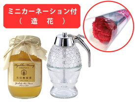 【母の日専用ギフト】【送料込み】ミニカーネーション＆国産百花蜂蜜とハニーディスペンサーセット【楽天】