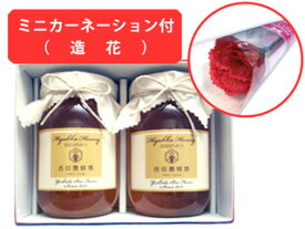 【送料無料】【母の日専用ギフト】国産百花はちみつ600g2本＆ミニカーネーションギフトセット【楽天】