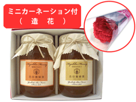 【送料無料】【母の日専用ギフト】国産はちみつギフト＆ミニカーネーションセット(百花蜂蜜600gX1、とち蜂蜜600gX1)【楽天】 【RCP】
