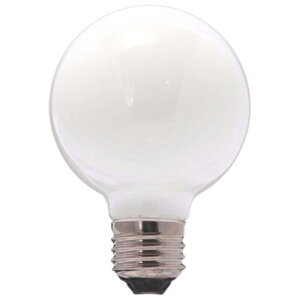 �z���C�g�{�[��GW100V-95W/95 100W�`������10�Z�b�g�I�I