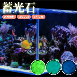 ~ OEXg[ 2kg XJCu[ u[O[ O[CG[   F 8`10Ԕ 15Nϗp OxtBbNX    Ԉʒu ڈ DIY  C~l[V A