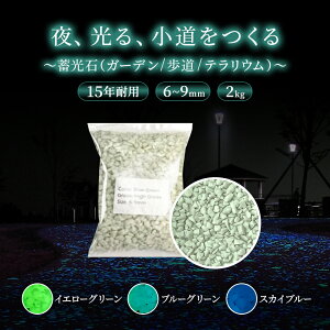 y15Nϗpz ~ OEXg[ 2kg XJCu[ u[O[ O[CG[   F 8`10Ԕ OxtBbNX    Ԉʒu ڈ DIY  C~l[V