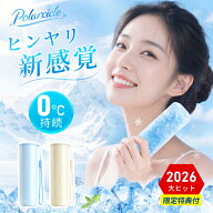 氷のう 氷嚢【COUPNで1990円&真空断熱 0℃極冷】 ミニアイスパック 熱中症対策 グッズ 魔法瓶構造 アイシ…