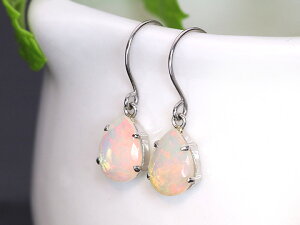 _IȃG`IsAIp[ F yAVFCv tbNsAX K18WGienEΉj󒍕i/