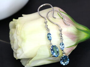 H T^}AJ[̃ANA} cCPTsAXienEΉj󒍕i/