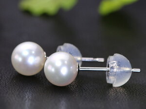 AR xr[p[ ꗱp[ VR^5.5mm sAX K14WGienEΉECOj󒍕i/