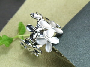 t[fUC  K18WGzCgS[hn O/w 󒍕i/