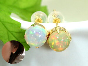 G`IsAIp[ ꗱK18YGCG[S[hsAX COH\ Fӂ 󒍕i/