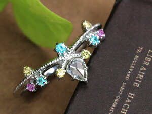 y[YJbg_Cz_Ch0.10ctO pCog}ETt@C̑ ~O[ PT900 v`i OEw 󒍕i/