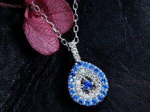 AECiCg0.11ct VFCv _CƂ̃RgXgQ ZRogu[EhCc̋H PTv`i y_glbNX 󒍕i/