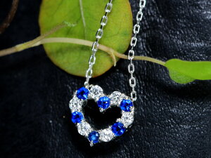 AECiCg0.06ct I[vn[g RgXg ZRogu[EhCc̋H PTv`i v`lbNX Mtg 󒍕i/