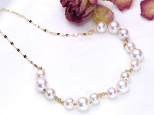 召̃AR^삪otK18lbNX Xe[V^Cv Ԏ싉̌򂠂IienfޑΉ\j󒍕i/