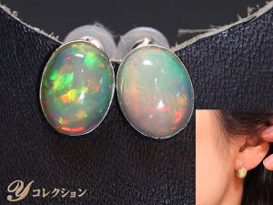 H G`IsAIp[ x[Zbg̃VvsAX F K18WGienEΉECOj󒍕i/