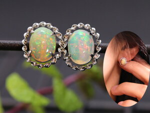 H G`IsAIp[ VvfUC sAX K18WGienEΉECOj󒍕i/