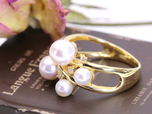 Ԏ싉̃AR^5ƃ_ChY~JɒeK18O ienfޑΉ\j󒍕i/