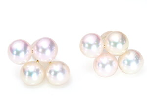 Ԏ싉̉IAR^4삪Ƌl܂VviK18sAX ienEΉj 󒍕i/