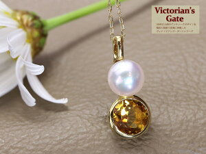 yVictorin's Gate@BNgAYEQ[gzAeB[NWG[ Vg×^6.2mm K10lbNXiK18fލ쐬j󒍕i/