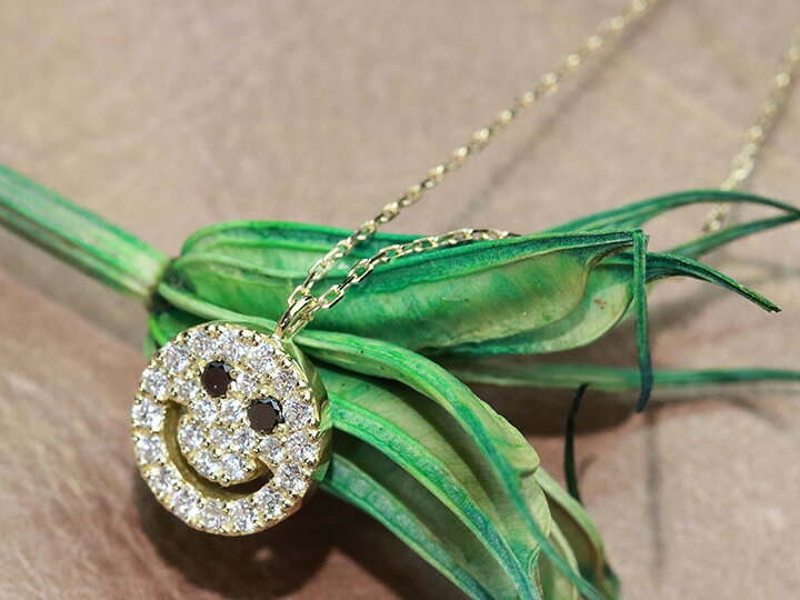 楽天市場】【ギフト応援プライス】目にはブラックダイヤ＆びっしり  