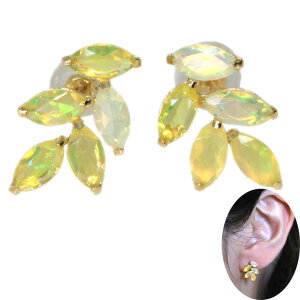 G`IsAIp[ v1.20Jbg K18YG CG[S[h sAXiCOHj ʂȐFEF 󒍕i /