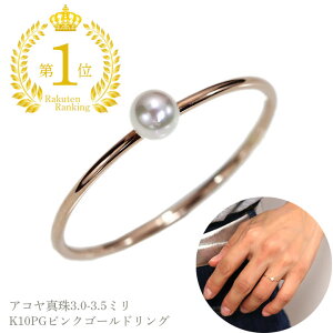 ARp[ ^ xr[p[3.0-3.5~ Vv K10PGO sNS[hfށiYGEWGj 13 󒍕i/LO1ʊlI