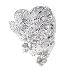 yMtgvCXzEhSECEN ̓Iȗ _Ch 0.01Jbg ̃NH[c SVVo[ u[`Es^bNE^C^bN 󒍕i /YcollectionCRNV/