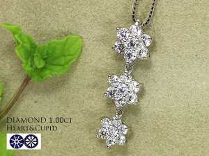 H&C n[gL[sbg ῂقǂ㎿_Ch1Jbg PTlbNX cCt[ IׂfK18/K18WGi18j 󒍕i/