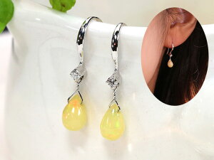 uIbgJbg̃G`IsAIp[Ê悤ɓHtbNsAX K18WGienEΉj/