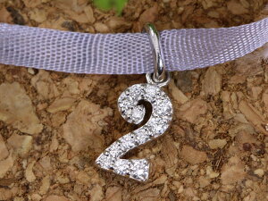 yMtgvCXzlC̃io[WG[  No.2 K18WGy_ggbv т莿̗ǂ_C ǍD ienfޑΉ\j󒍕i/YcollectionCRNV/