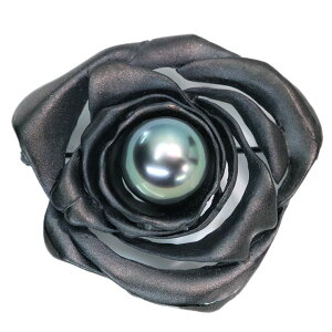 ^p[ 11.0~ SVVo[ ygbvu[` t[ ubNbLdグ dʊ 1_ /YcollectionCRNV/