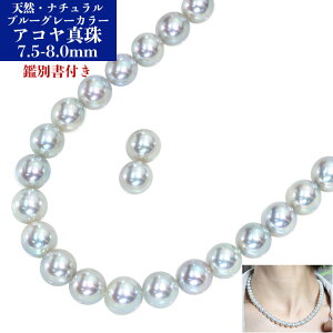 }\P5{IyMtgvCXzVREO[J[ ^iaj 7.5`8.0~ AlbNXsAXiCOj̃Zbg VRu[O[J[ ӕʏ