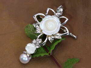 yMtgvCXz[\I̓IȔVFKNɃAR^삪hSVygbvu[`E4WAYdlŊpx 󒍕i/YcollectionCRNV/ N[|