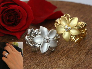 ̓Iȃt[ ƋʂŎdオt[O enK18EWGEPGEPT900 󒍕i/