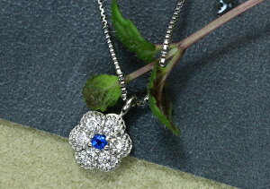 H AECiCg0.01ct _C0.08ct@t[fUC PT900/PT850 v`if lbNX 󒍕i/