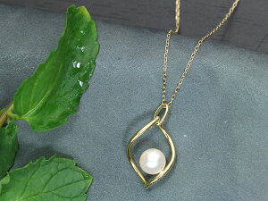 ARp[ ^ xr[p[5.5-6.0~ Vv K18lbNX CG[S[hfށiYGEWGj 󒍕i/