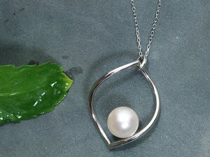 ARp[ ^ xr[p[8.0-8.5~ Vv K18WGlbNX zCgS[hfށiYGEWGj 󒍕i/