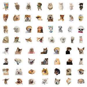 XebJ[  60Zbg hV[ Aj LN^[  GObY 蒠 V[ i 킢  DIYXebJ[ lC