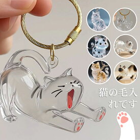 ＼期間限定1点最安600円・2点購入で／ 猫の毛収納ボトル キーホルダー 猫毛 透明カプセル キーホルダー ペット用 遺毛ケース 透明ケース 遺毛入れ 猫の毛収納ボトル 猫のキー