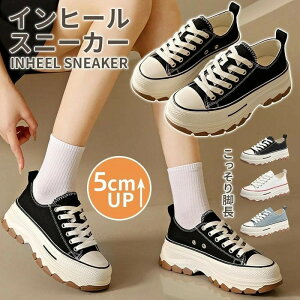 Xj[J[ gAbv 5cm Xj[J[ fB[X vbg [JbgXj[J[ ʋ ʊw Cq[ fB[XV[Y r r t  H ʊw ʋ  ؍C V[Y g